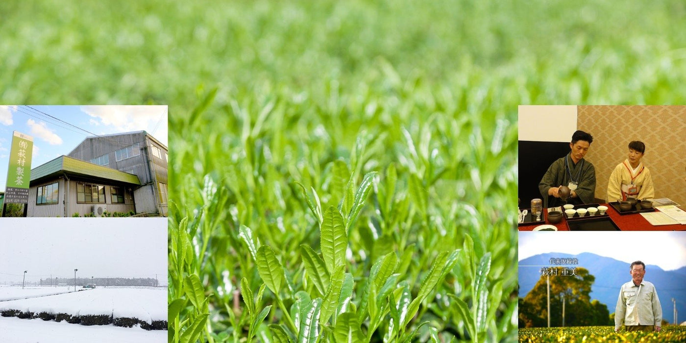 Hagimura Tea Factory - yumenet.live