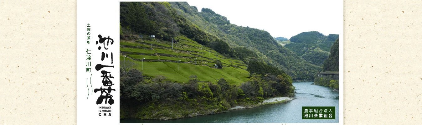 Ikegawa Tea Farm Coop - yumenet.live
