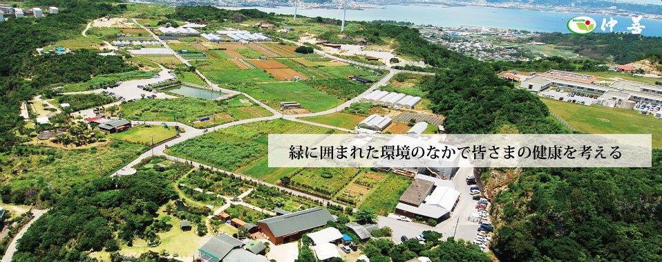 Nakazen - yumenet.live