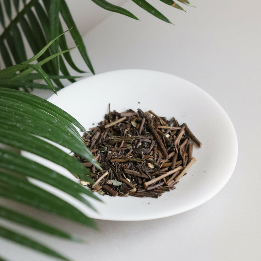 #1036.TX Starry Night — Aries(牡羊座)/ Sansho Hojicha