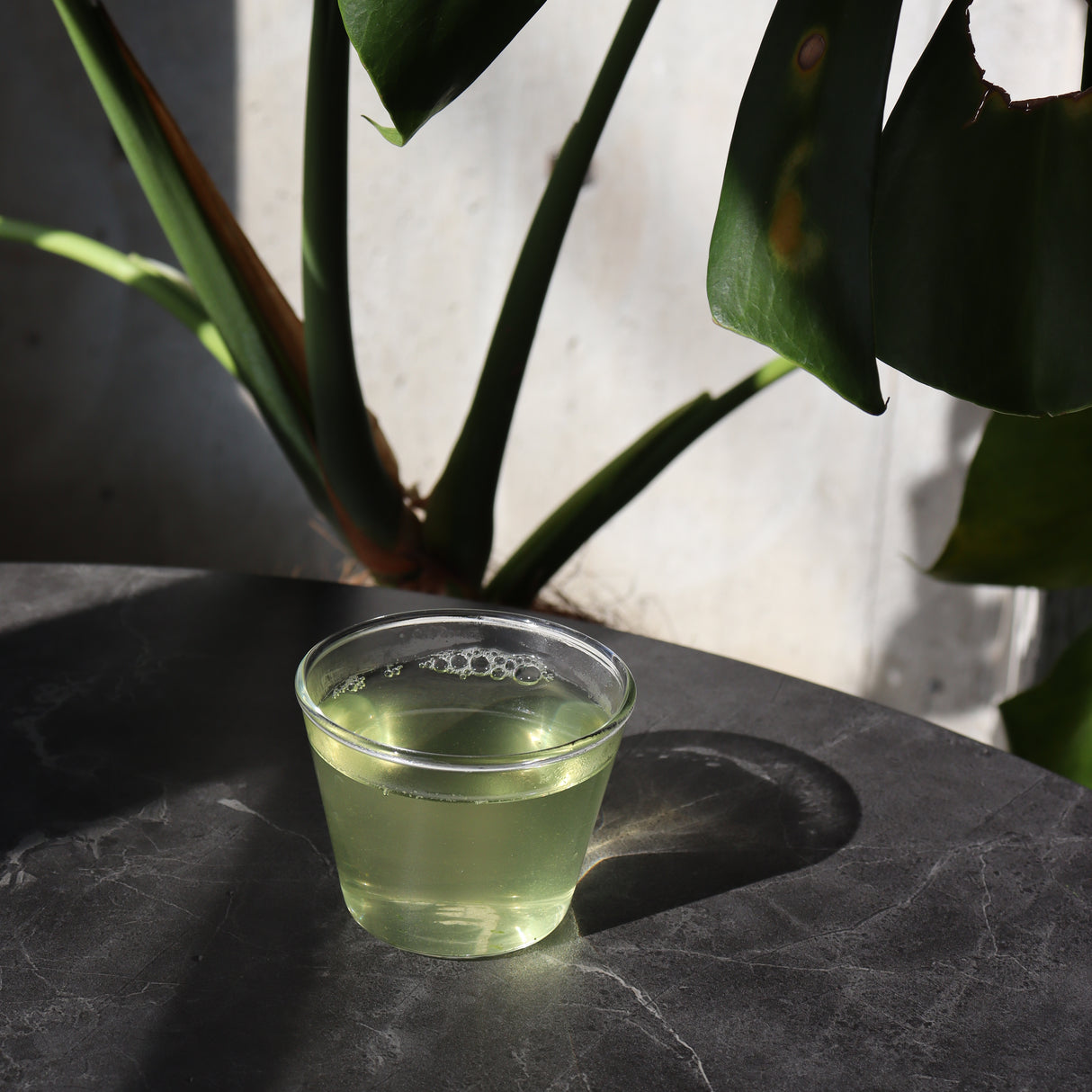 #0310.K2 Hachimanjyu: 2026 Naturally Grown "Hisoka", Spring First Flush April Harvested Green Tea (Yutaka Midori Single Cultivar)