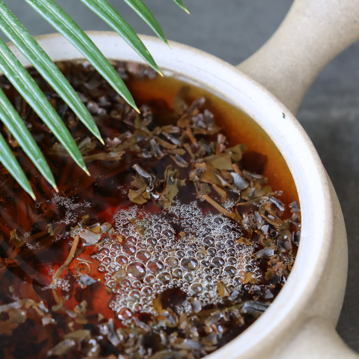 Yunomi.Dojo Lesson - Tea Professional or Connoisseur Level - Personalized Deep Dive Into Japanese Tea