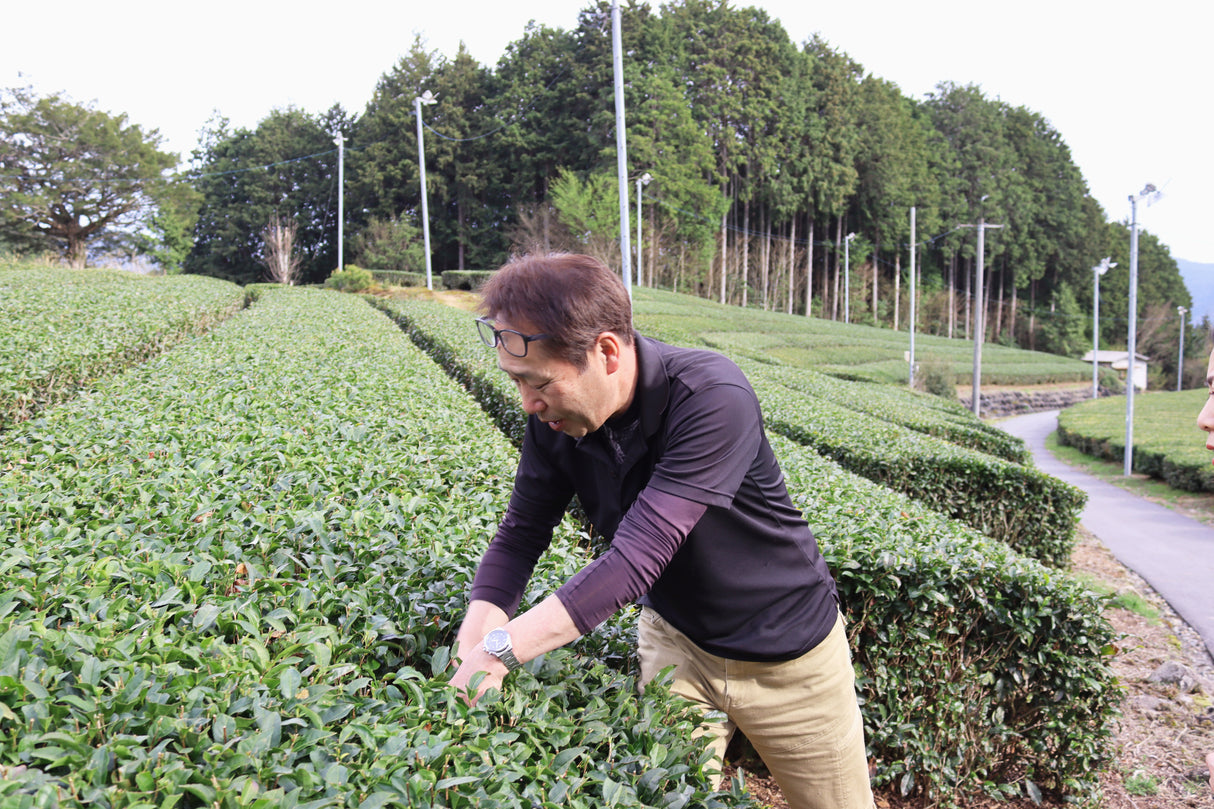 #1055.G1 新田製茶: インペリアル煎茶 (かぶせ茶)