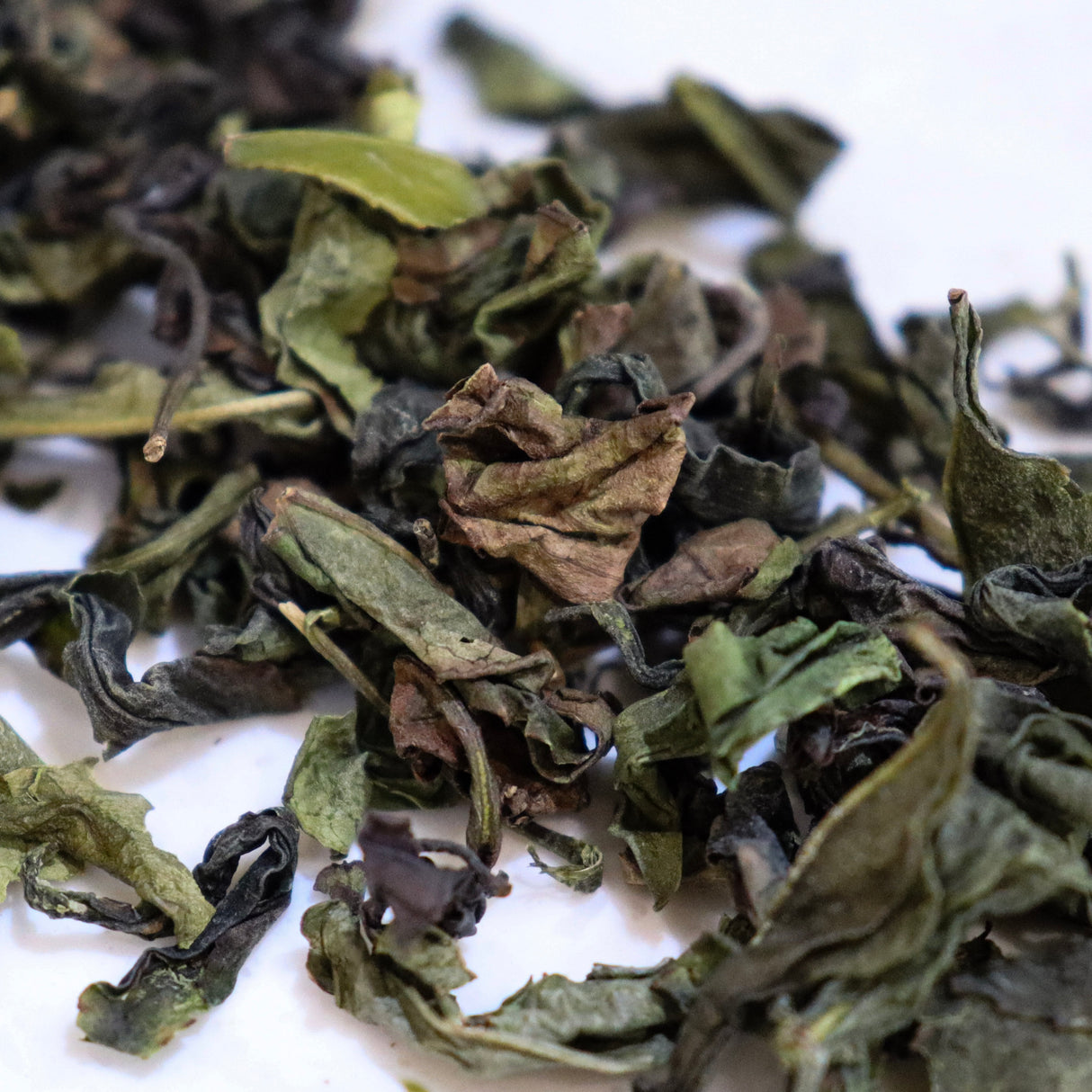 #0492.M3 Miyazaki Sabou MY12: Naturally Grown Oolong Tea - Kanaya Midori Single Cultivar