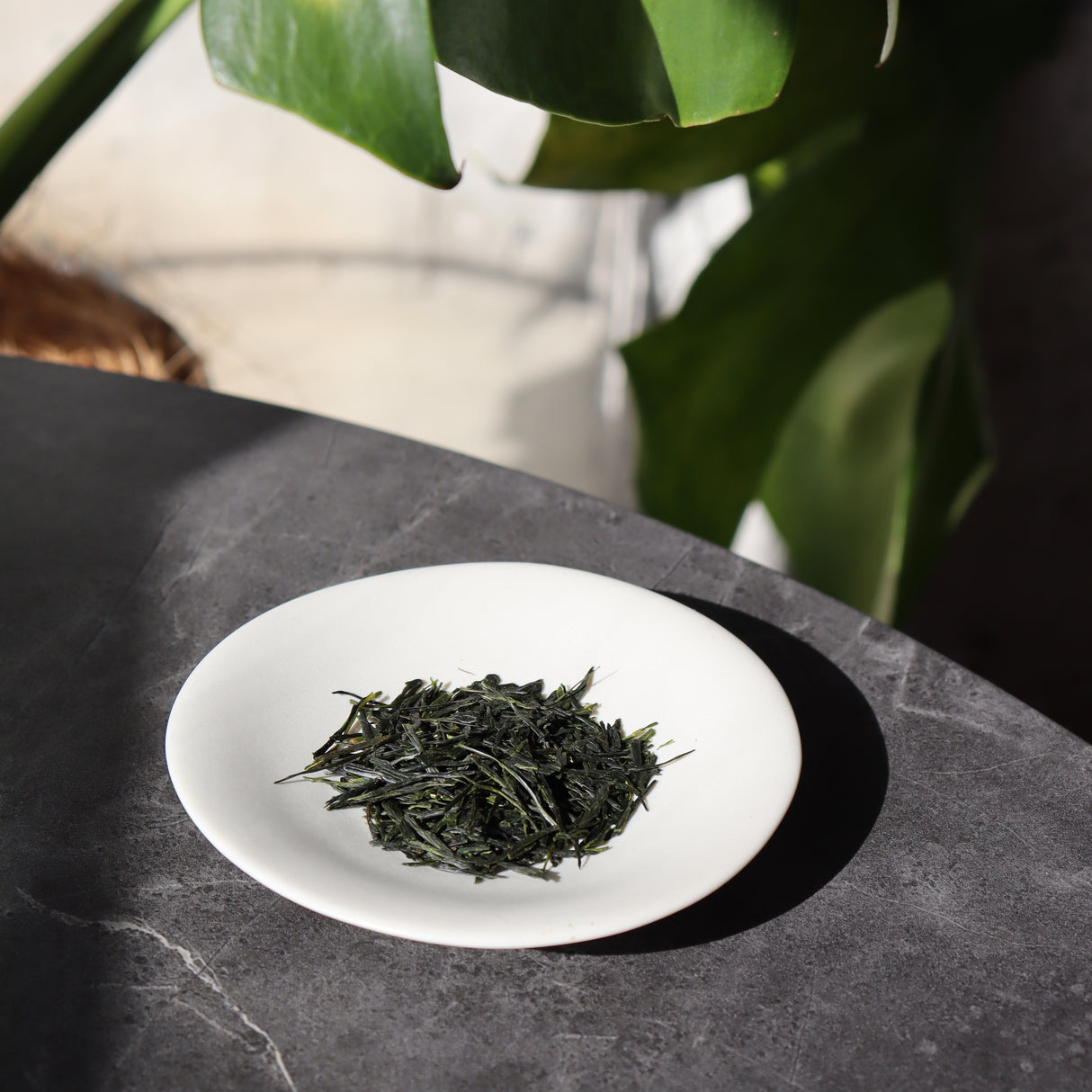 #0349.K2 Tanegashima Island Shoju 2026 (micro batch, limited) - Single Cultivar Sencha - Iba Takahiro Tea Garden