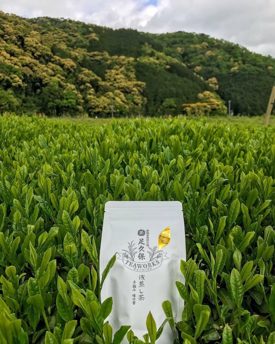 Ashikubo Teaworks: 2022 Handpicked Asamushi Sencha Mine no Kaori 足久保 浅蒸し茶 手摘み 峰の香 - yumenet.live