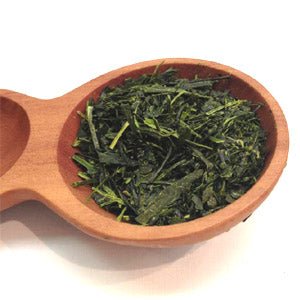 Dobashien Tea #05: Kakegawa Series: Shizuoka Sencha, Hatsuzumi 初摘 - yumenet.live