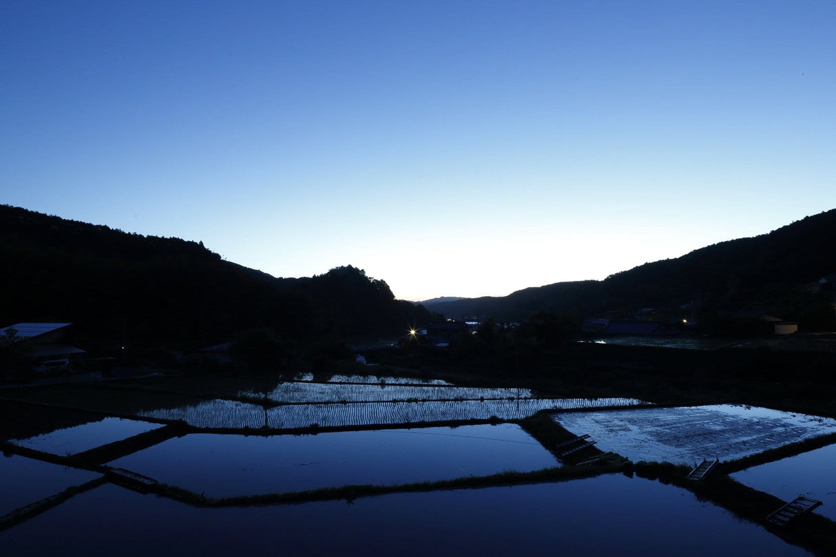 Kameya Foods: Farm Direct Wasabi Chazuke - Seasoning for Rice Tea Soup - yumenet.live