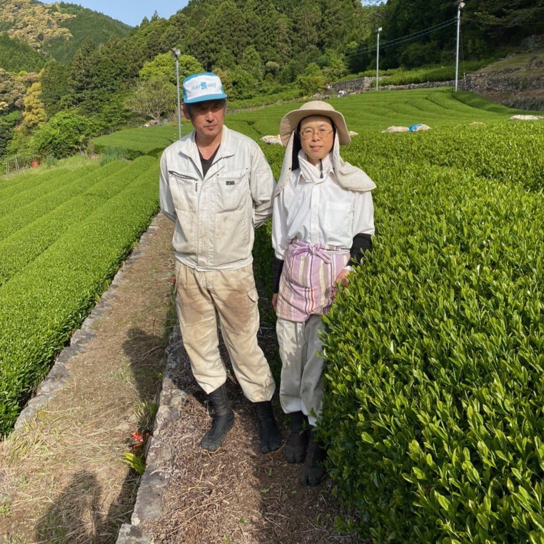 Kiyosawa Tea Gardens: Shizuoka Spring Asamushi Sencha by Farmer Sugiyama Yachiyo - yumenet.live