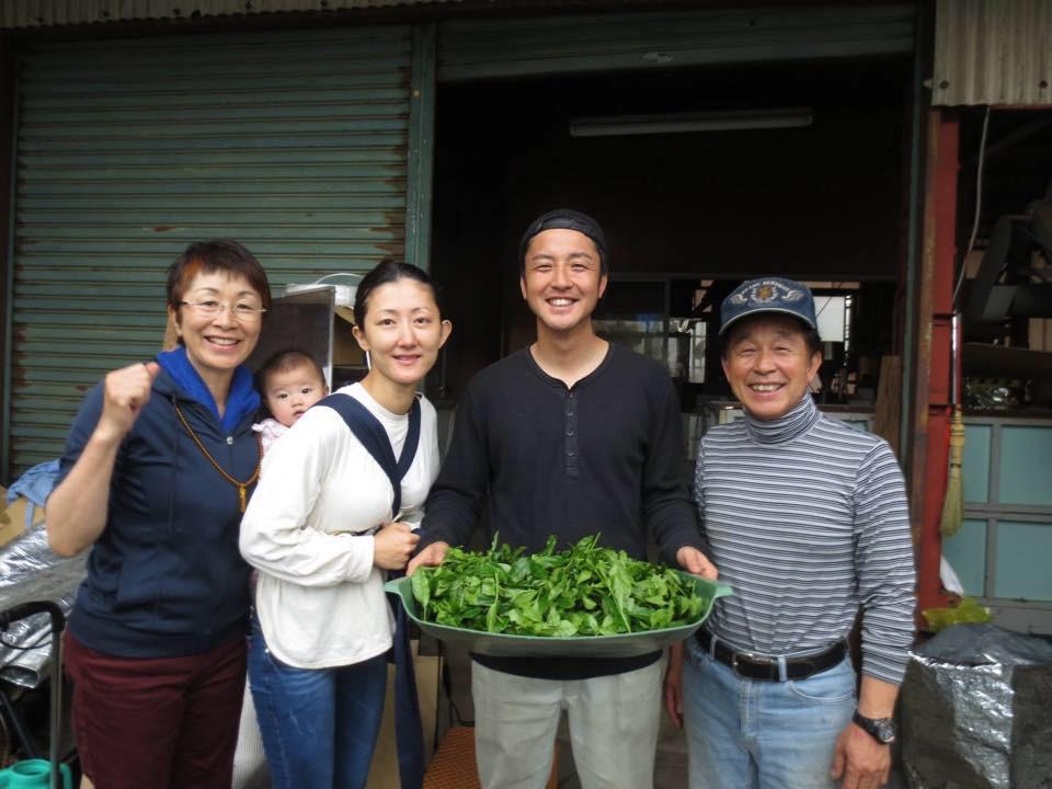KU007 Tomizawa Tea Garden: Gyokuro Tamaryokucha from Mashiki, Kumamoto - "Green Tea.Lab" 玉露 - yumenet.live