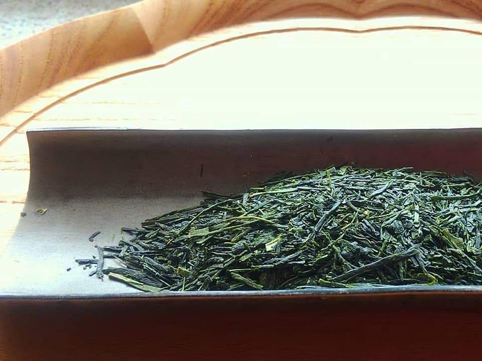 Kuma Tea Garden: 2022 Yamecha Mountain-Grown Sencha Yabukita 奥八女 上陽茶 やぶきた - yumenet.live