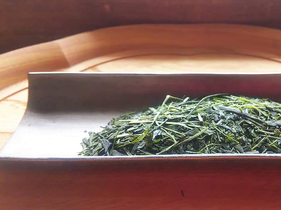 Kuma Tea Gardens: Mountain-Grown Yame Sencha, Single Cultivar Kirari 31 - yumenet.live