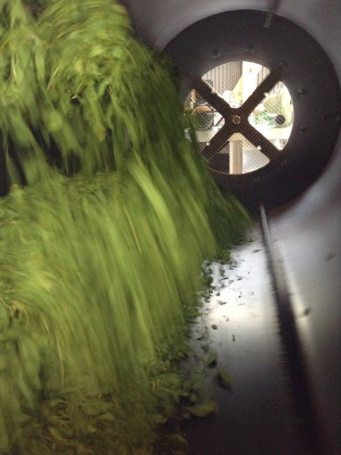 Mitocha NR005: Aged, Sun-dried Kamairicha Bancha 天日干し釜炒りばん茶 - yumenet.live