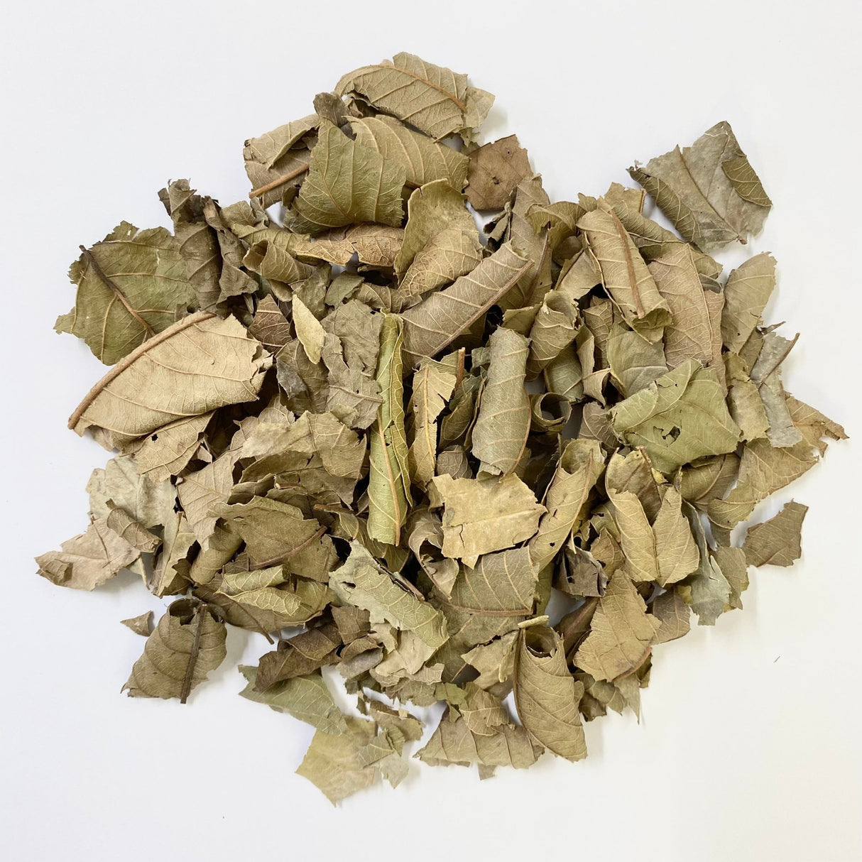 Nakazen: Guava Leaf Tea (loose leaf) - yumenet.live