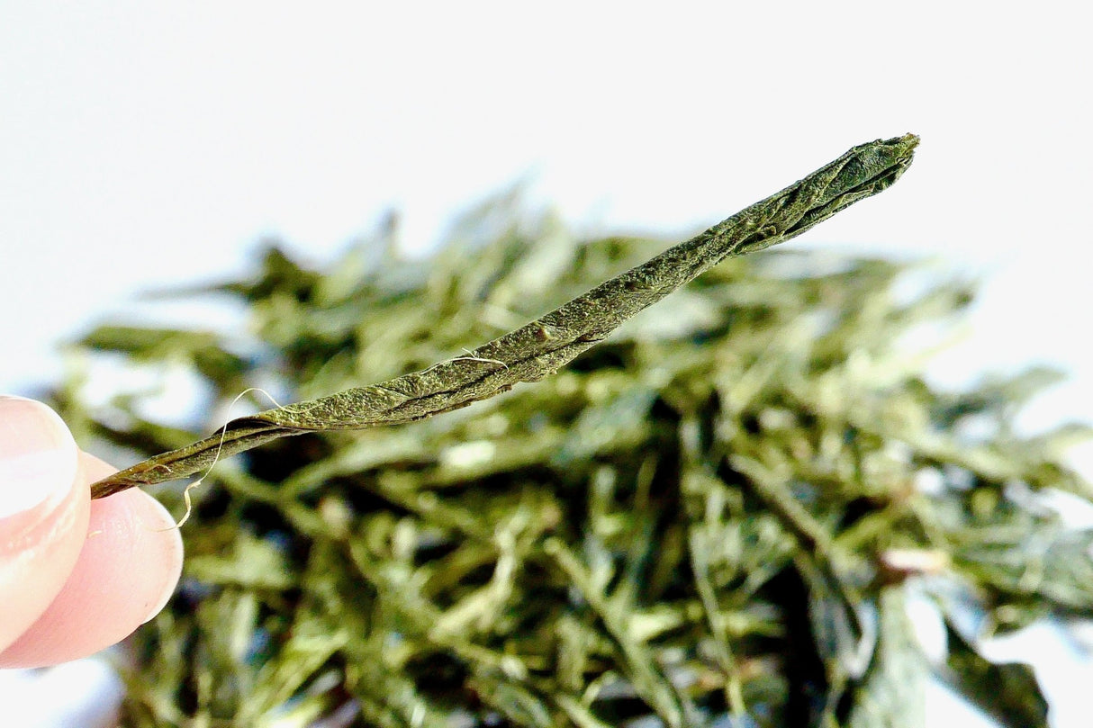 Obubu #08: Yanagi Bancha, Green Tea - yumenet.live