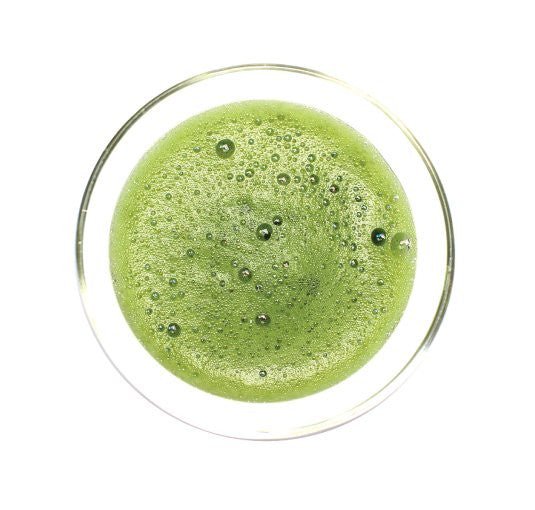 Obubu Tea #19: Excellent Culinary Grade Matcha - yumenet.live