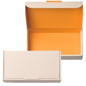 Seiwa 55299: Gift box 235×120×45 mm - yumenet.live