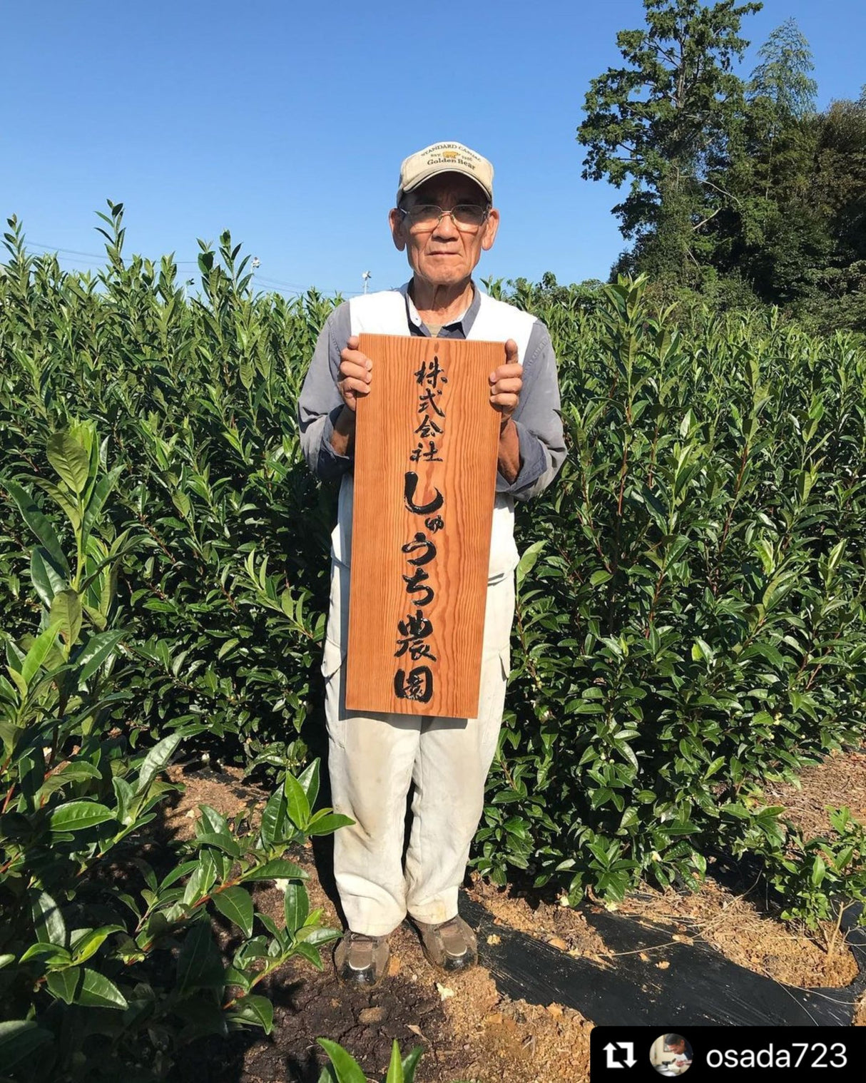 Shuchi Tea Garden: Fukamushicha Green Tea, Kirari 31 Single Cultivar, 2022 Nihoncha Awards Platinum Medal Winner, Refined by Osada Tea - yumenet.live