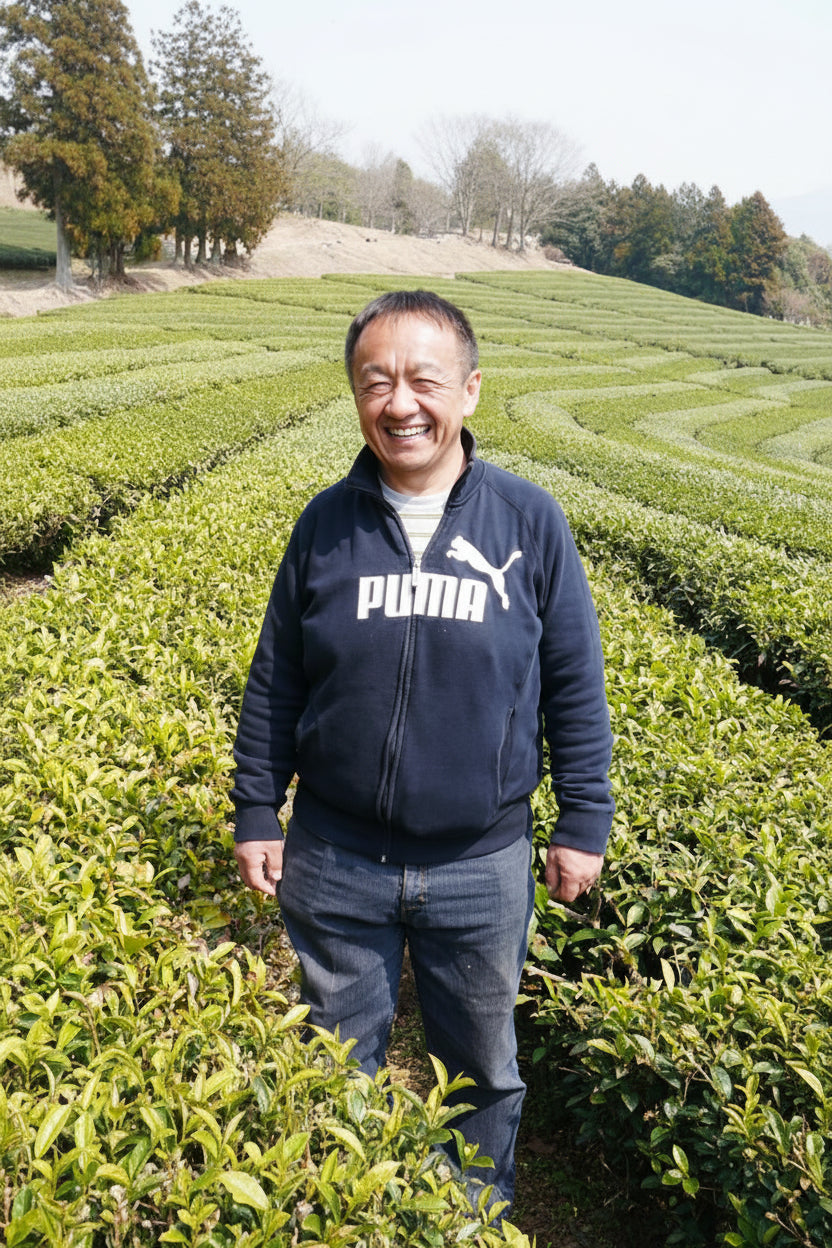 Tarui Tea Farm: 2022 Organic Sencha - Shurei, Elegant Beauty 有機 秀麗 - yumenet.live