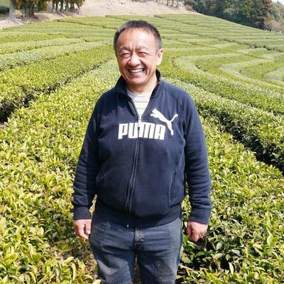 Tarui Tea Farm: 2022 Yabukita - Single Cultivar Shizuoka Sencha (JAS Organic) 有機やぶきた - yumenet.live