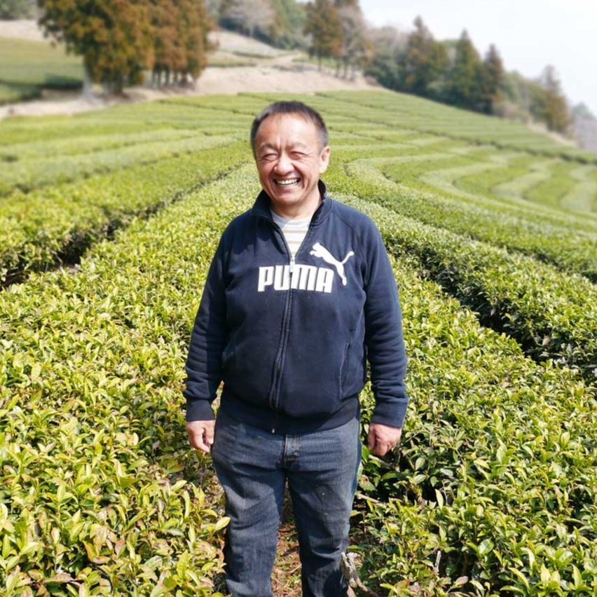 Tarui Tea Farm: Organic Sushi Restaurant Green Tea Powder - yumenet.live