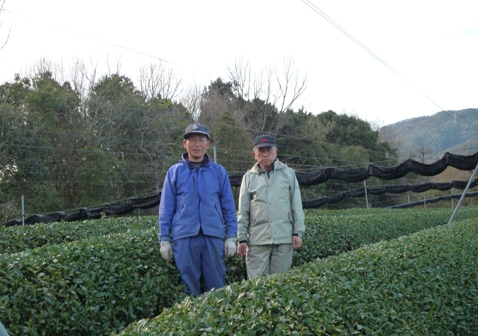 Tea Farmer Shinichi Kihara: 2022 Naturally Grown Kyoto Kabusecha (Single Cultivar Gokou) 自然栽培かぶせ茶ごこう - yumenet.live