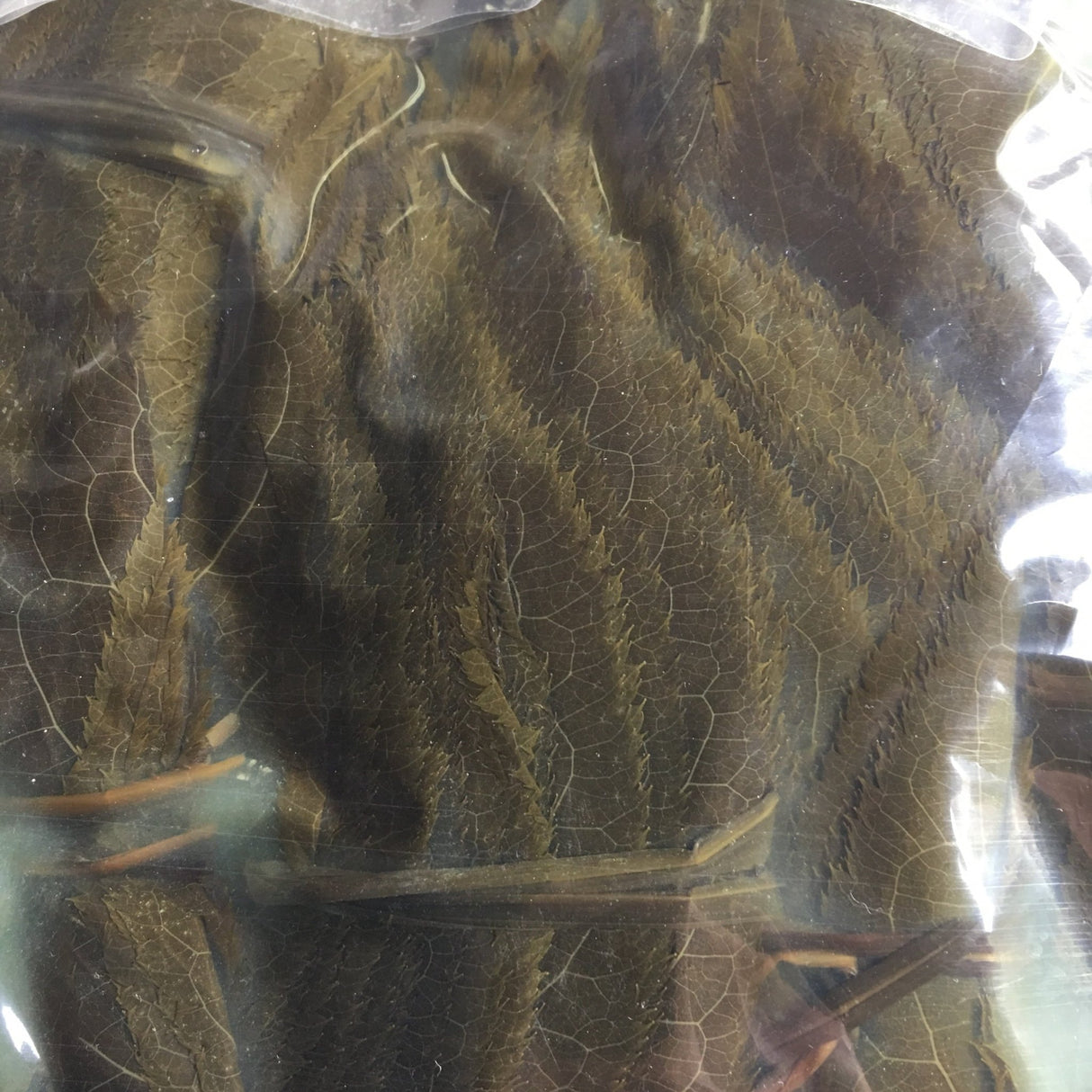 Tomiz: Pickled Sakura Leaves from Izu Peninsula, Shizuoka 桜葉の塩漬(伊豆産) - yumenet.live