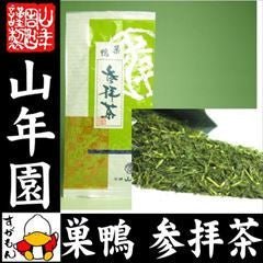 Yamane-en: Kakegawa Fukamushi Premium, Tea Blessing 特選 参拝茶 - yumenet.live
