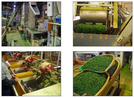 2016 Statistics on Tea Production in Japan - yumenet.live