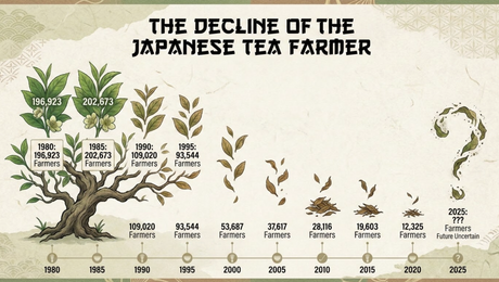 Case of the mysterious disappearing Japanese tea farmer