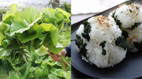 How to Forage and Cook Sansai (山菜) in Spring in Japan - yumenet.live
