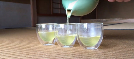 How to steep Japanese green tea for several guests - yumenet.live