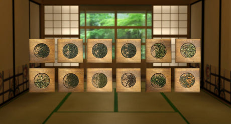 Introduction to Japanese tea, a short guide - yumenet.live