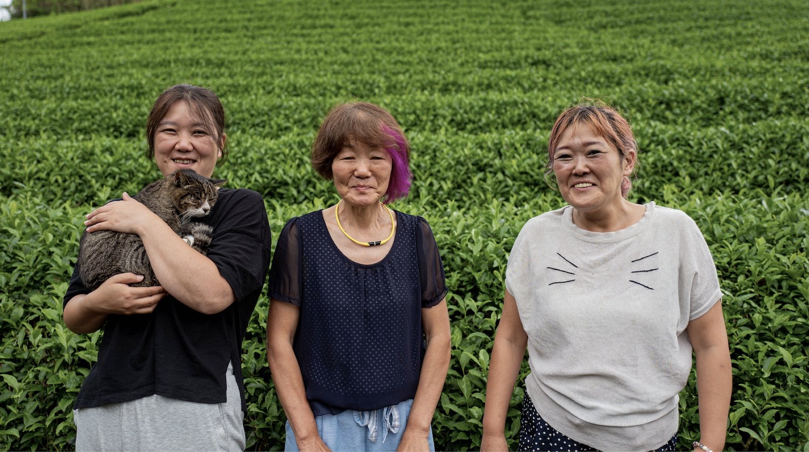 Kiroku Tea Garden: Women Owned Tea Farm - yumenet.live
