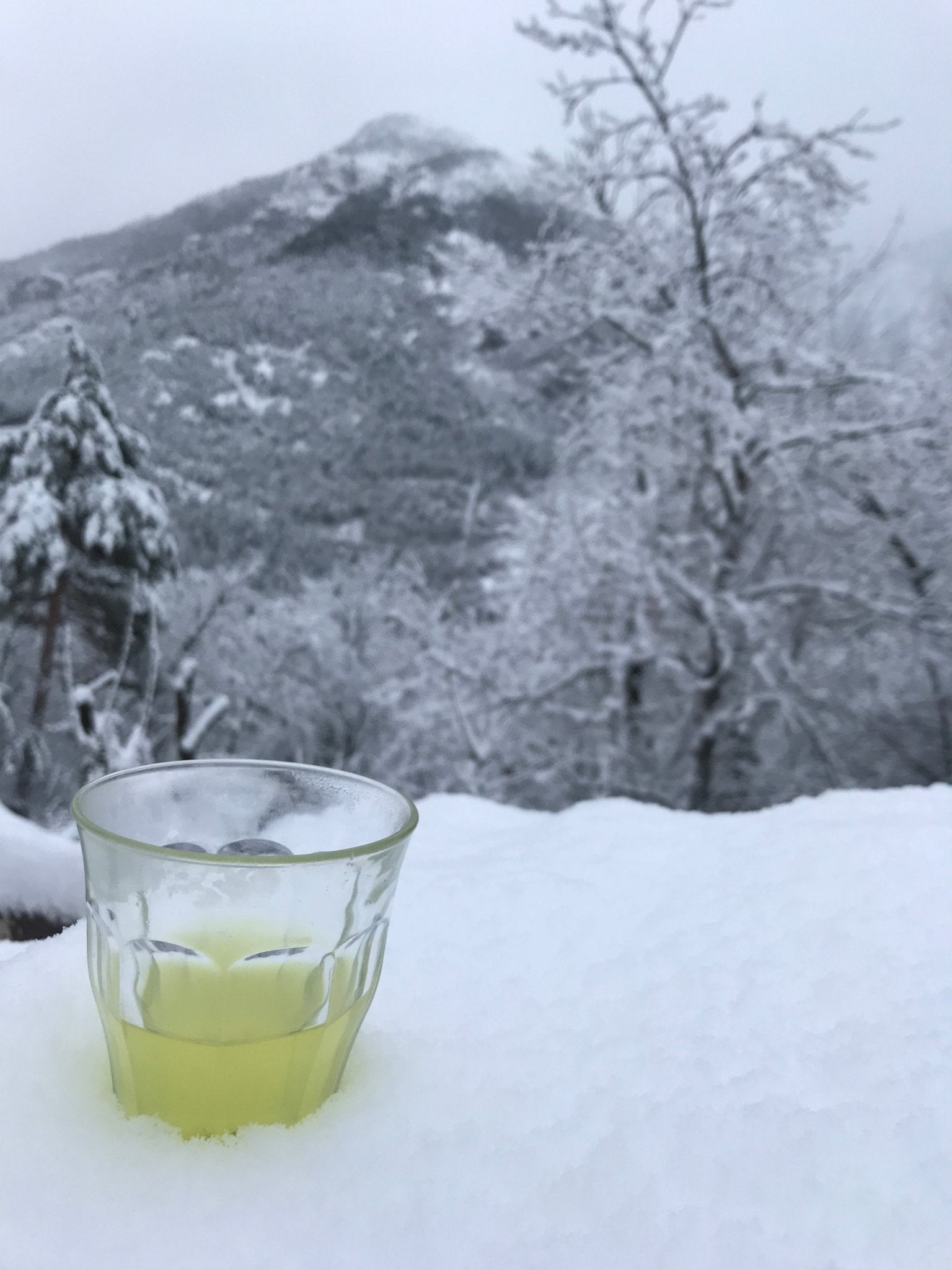 New Year, First Tea - yumenet.live