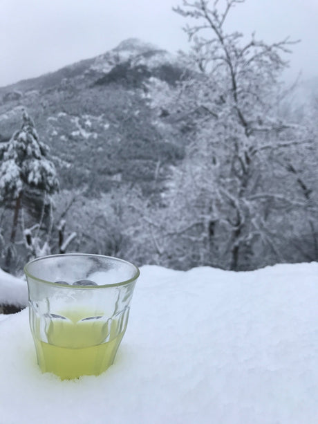 New Year, First Tea - yumenet.live