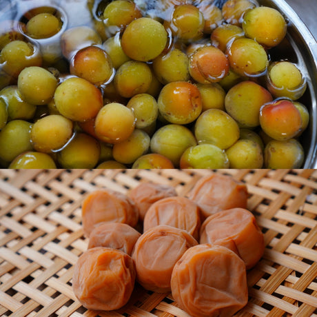 Seasonal Ume (梅,Japanese Apricot) Preserving - yumenet.live