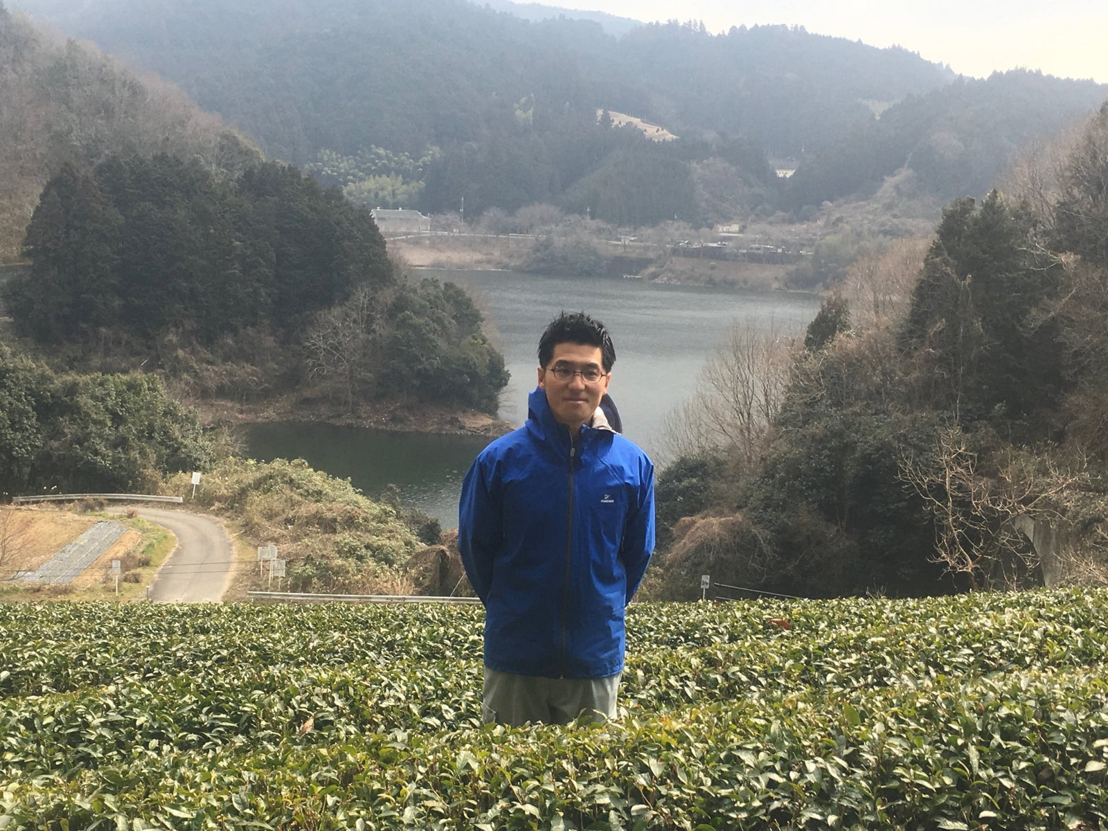 Tea Farm Mitocha: Preserving A Historical Folk Tea - yumenet.live