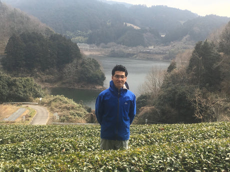 Tea Farm Mitocha: Preserving A Historical Folk Tea - yumenet.live