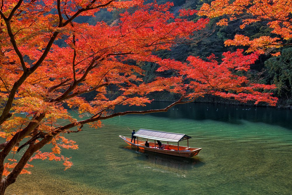 The Colors of a Season: Experience Autumn Foliage from Hokkaido to Kyushu - yumenet.live