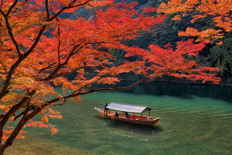 The Colors of a Season: Experience Autumn Foliage from Hokkaido to Kyushu - yumenet.live