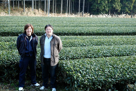 The Kurihara Brothers – 4th generation tea farmers - yumenet.live
