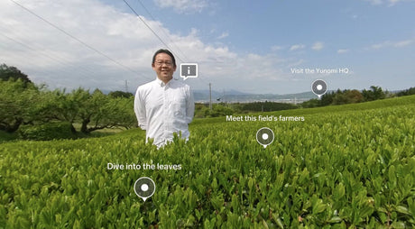 The Yunomi 360 Project - yumenet.live