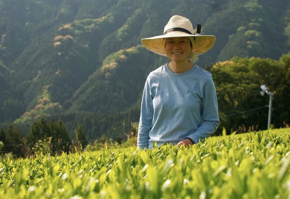 Thoughts on the Women in Tea Program - yumenet.live