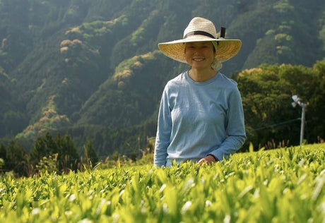 Thoughts on the Women in Tea Program - yumenet.live