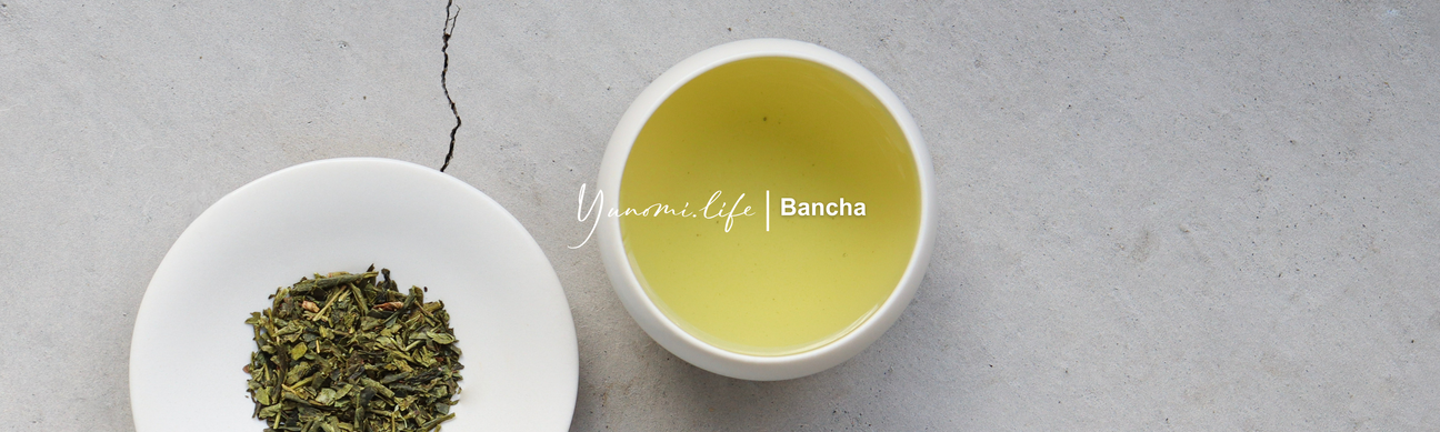 Bancha - yumenet.live