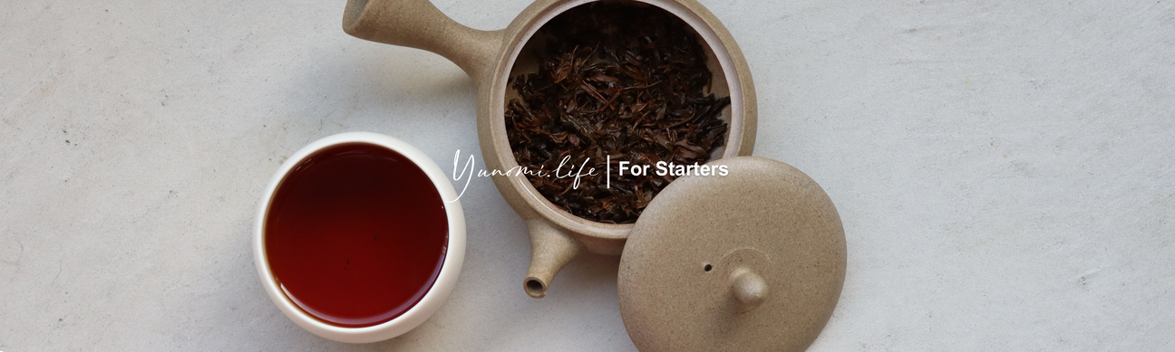 For Starters - yumenet.live