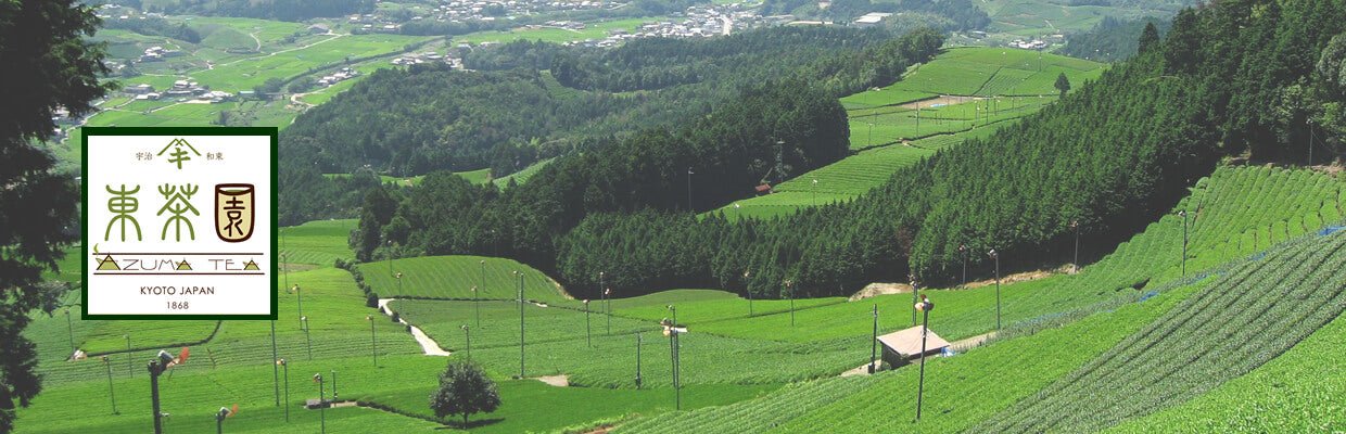 Azuma Tea Garden - yumenet.live
