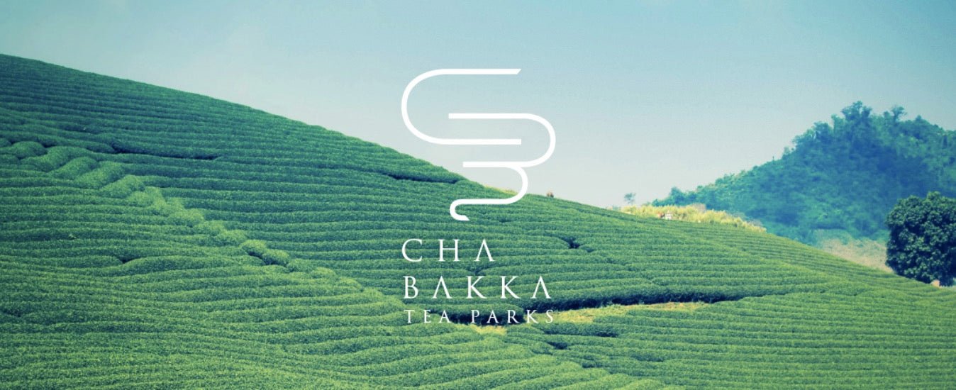 Chabakka Tea Parks - yumenet.live