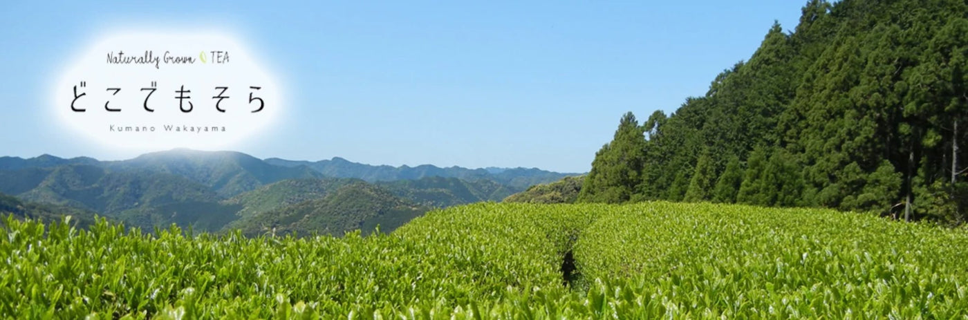 Dokodemosora Tea Farm - yumenet.live